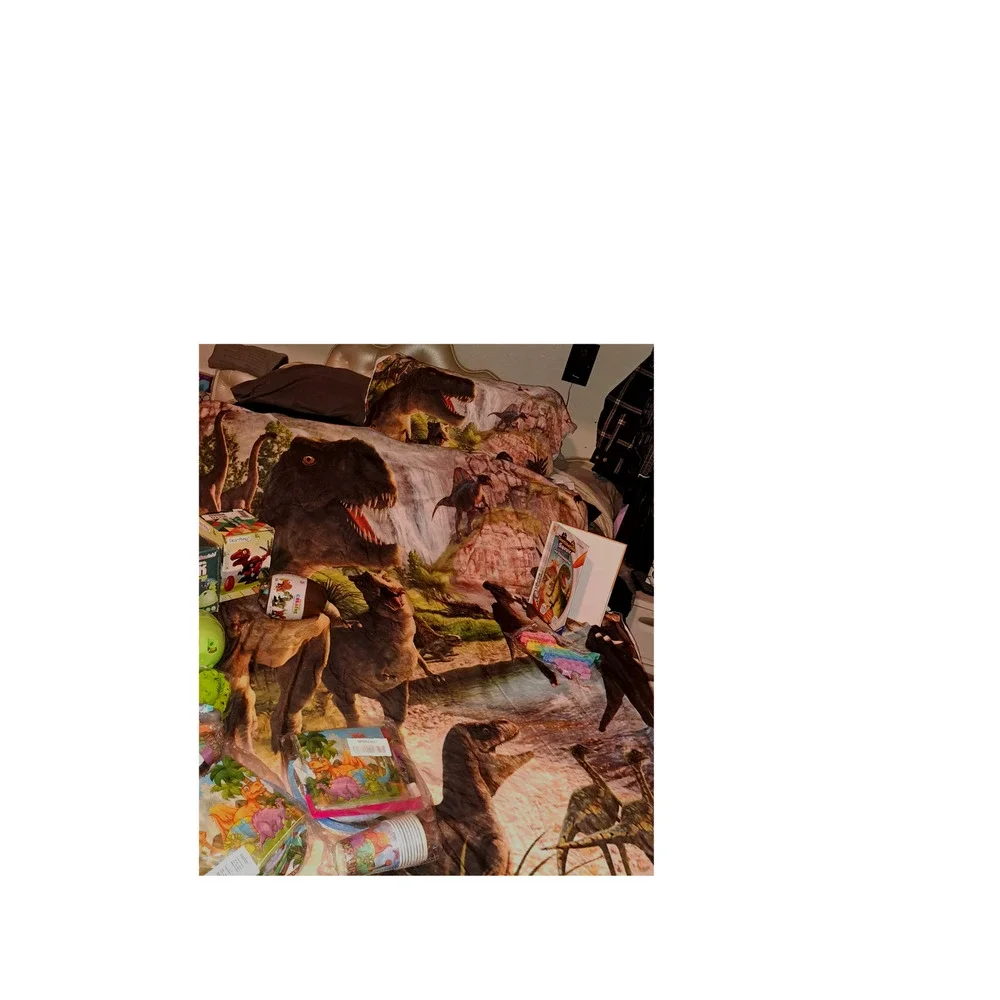 Dinosaur Duvet/Pillow/3games/Book and Party Plates